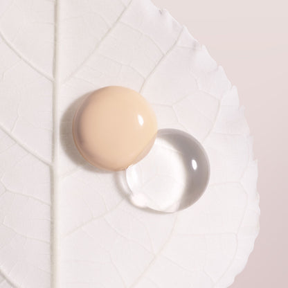 Phyto-Blanc Le Cushion
