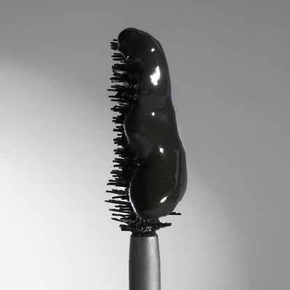 Ligne Noire Duo
