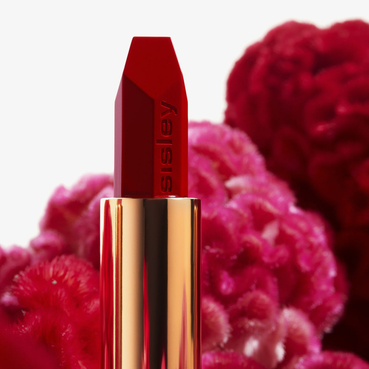 Le Phyto-Rouge