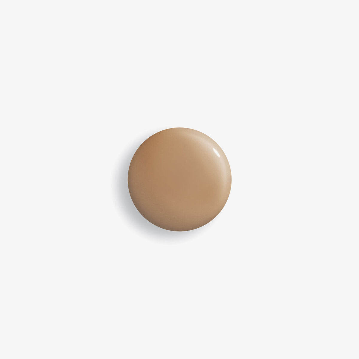 Phyto-Teint Perfection