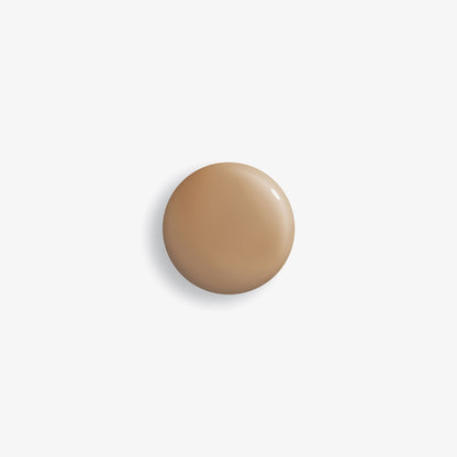 Phyto-Teint Perfection