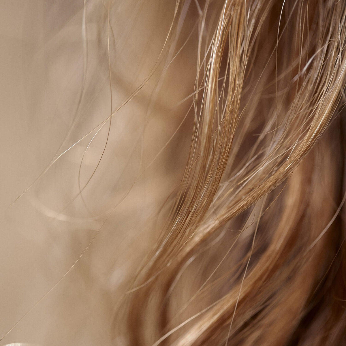The Intense Nutrition Hair Care Mask