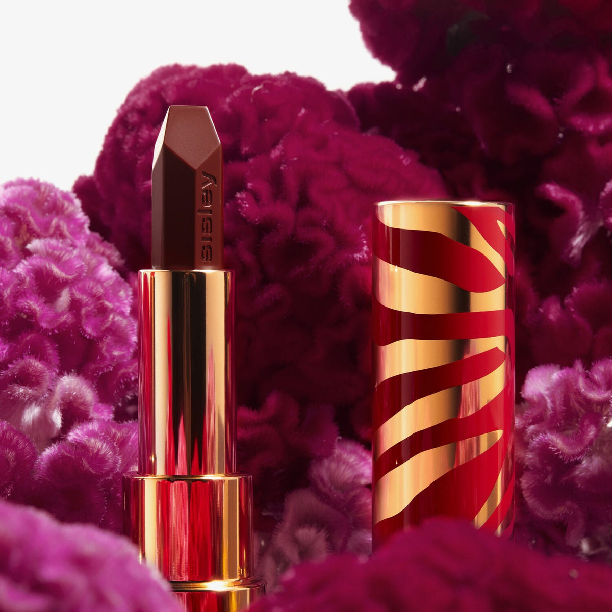 Le Phyto-Rouge